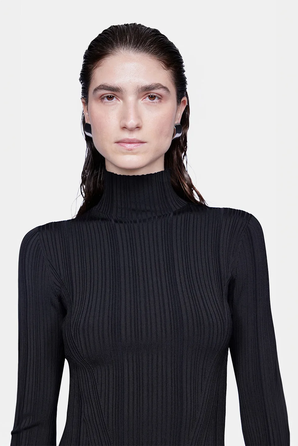 Dawn Plisse Turtleneck - Black