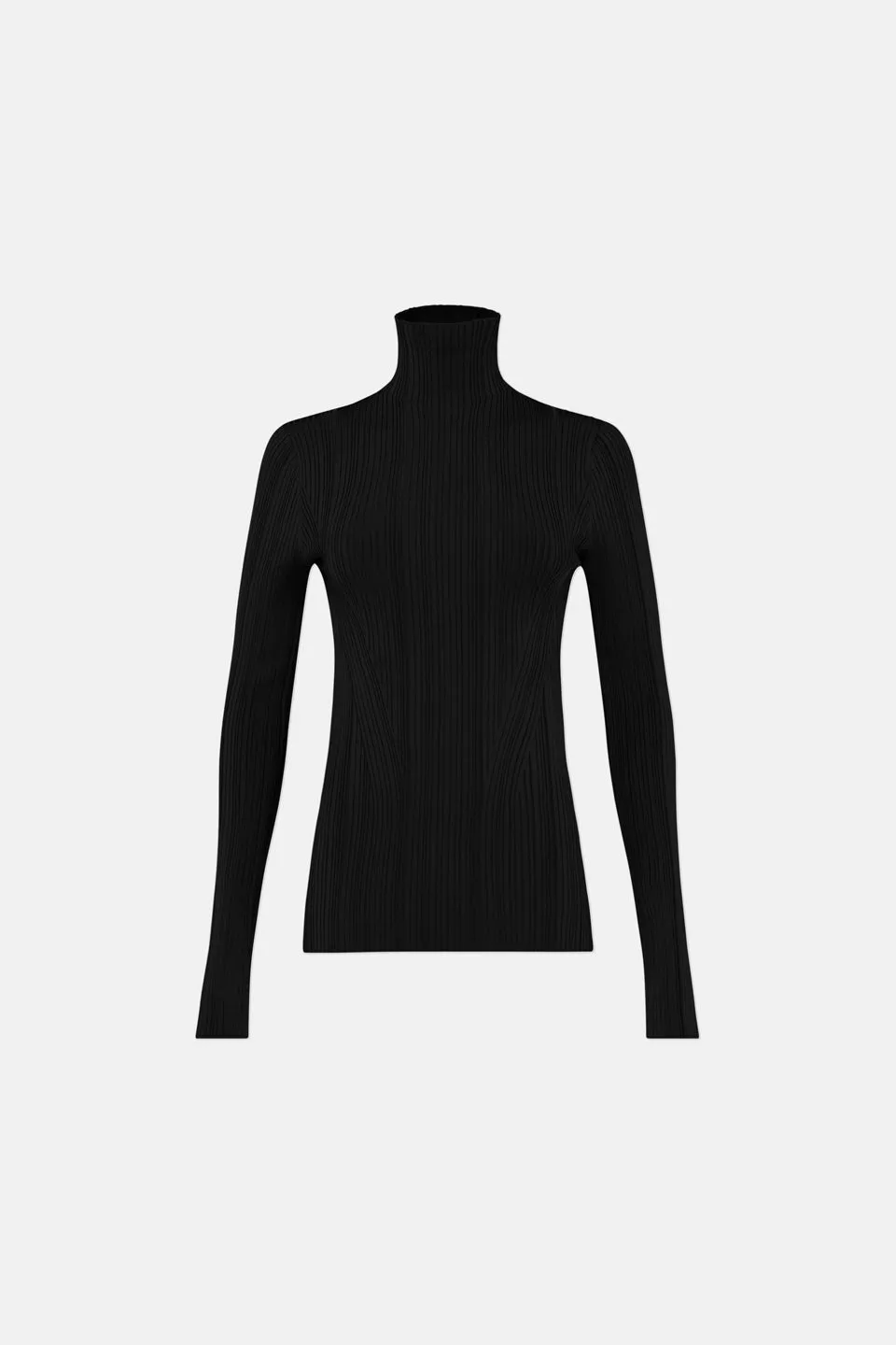 Dawn Plisse Turtleneck - Black